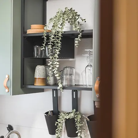 Black Forest Flower * באד ווילבאד