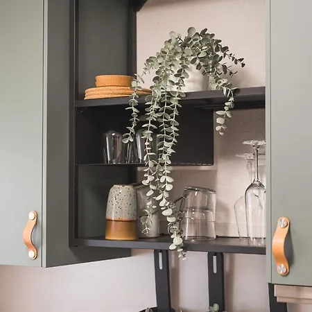 Black Forest Flower * باد ويلباد