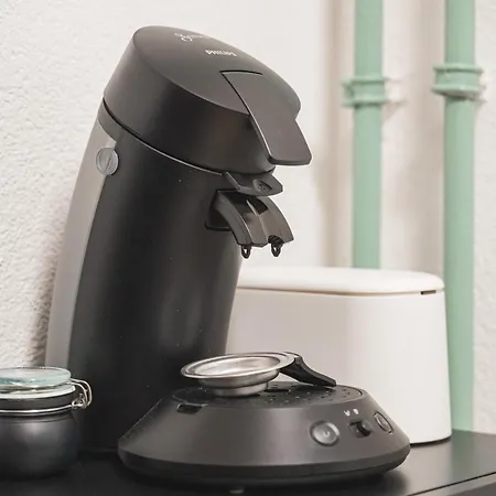 Black Forest Flower باد ويلباد