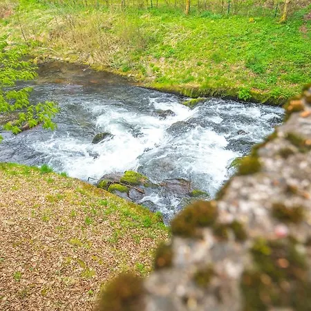 Black Forest Flower *